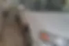 نیسان،  ماکسیما