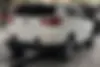 کیا،  اسپورتیج