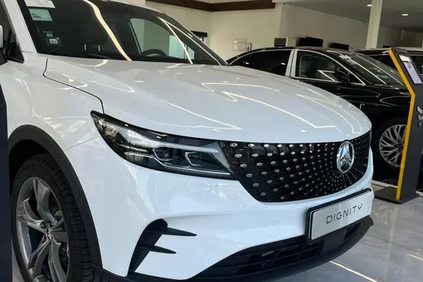 دیگنیتی، پرستیژ