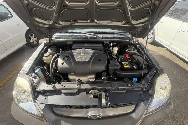 کیا، ریو (مونتاژ)