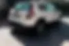 دانگ فنگ،  H30 کراس