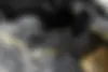 لاماری،  اکو
