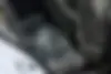 لاماری،  اکو