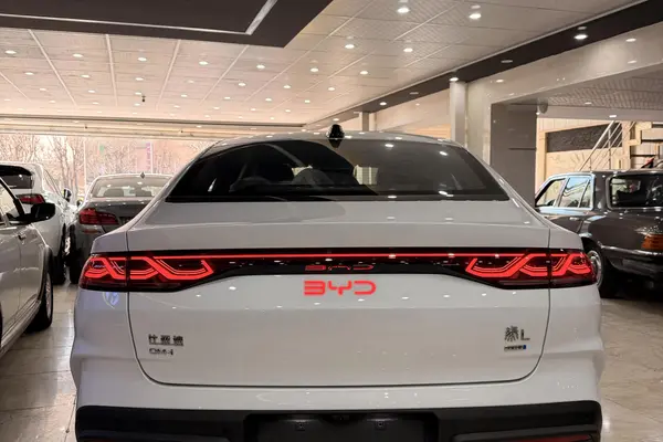 بی وای دی، چین ال DMi