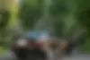 بنز، کلاس E