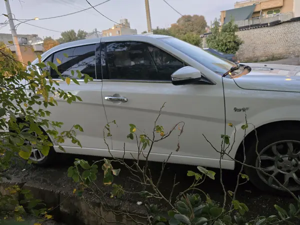 دنا، پلاس EF7