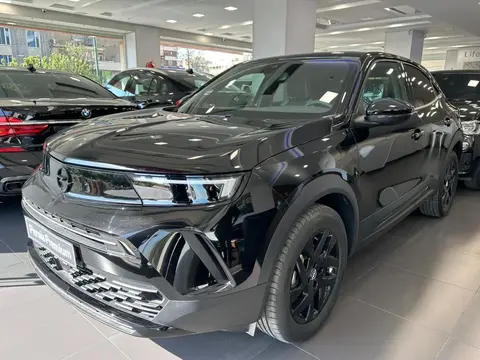 اپل، موکا