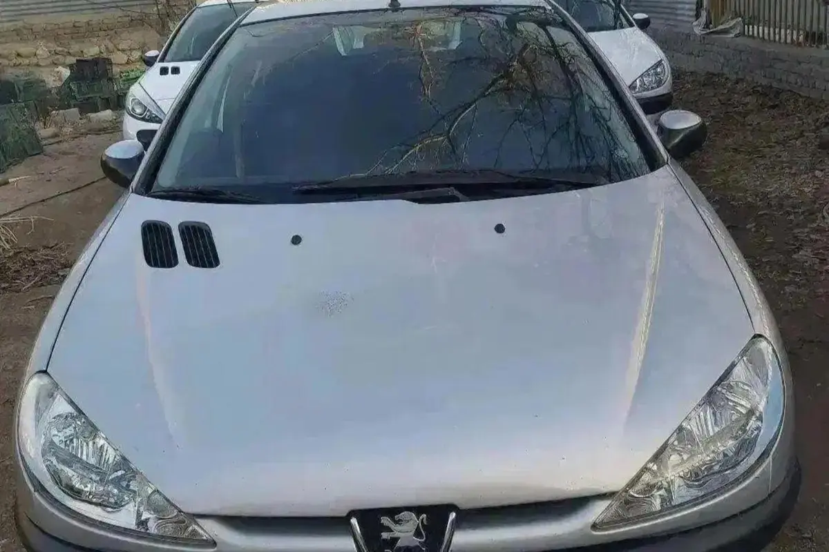 پژو،  206 SD