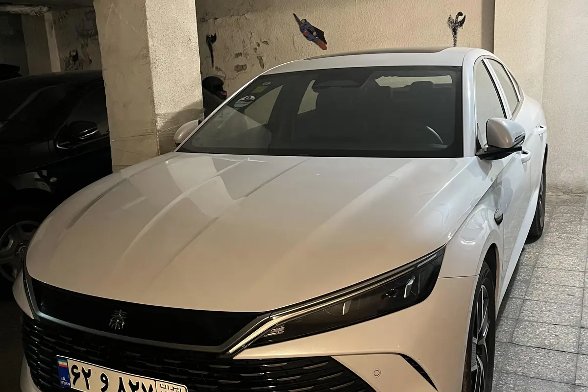 بی وای دی،  چین ال DMi