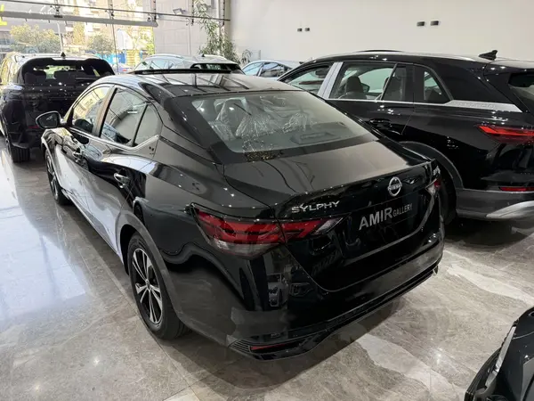 نیسان، سیلفی