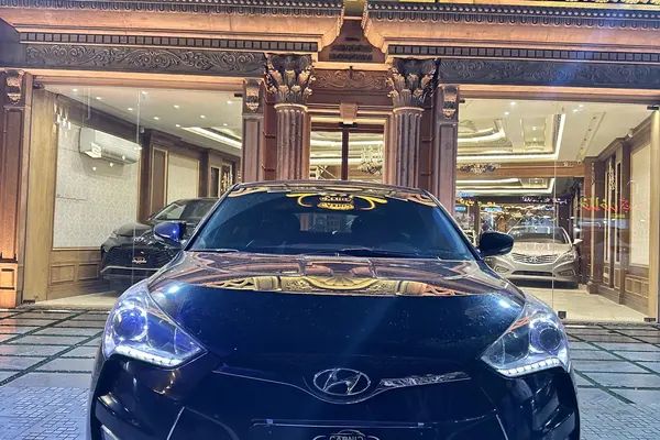 هیوندای، ولستر