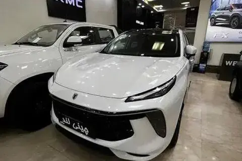 لاماری، ایما