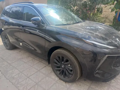 لاماری، ایما