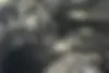 نیسان،  جوک