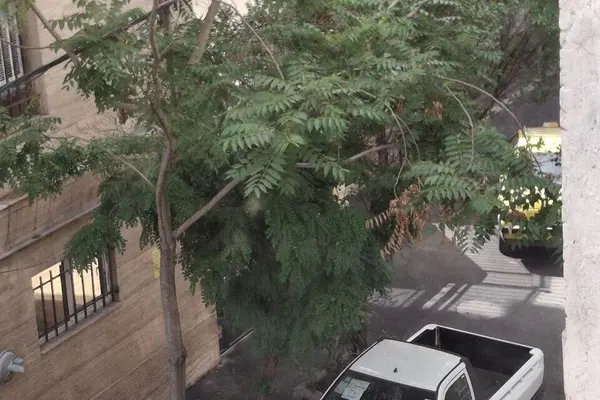 پراید  151
