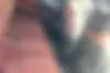 لکسوس،  LX