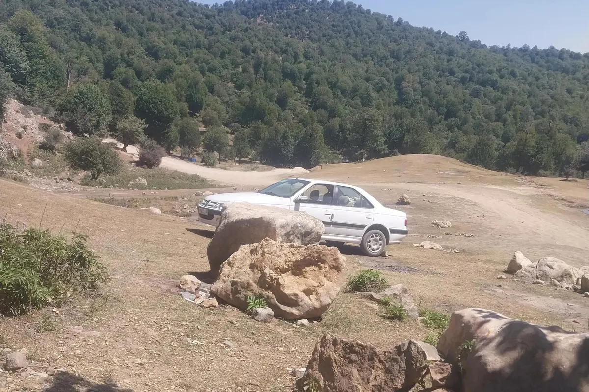 پژو،  پارس