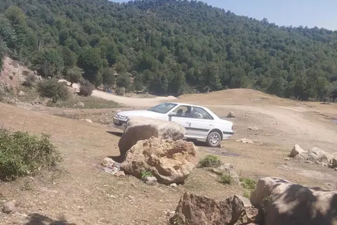 پژو، پارس