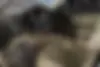 لکسوس  GS