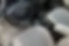 رنو،  مگان (مونتاژ)