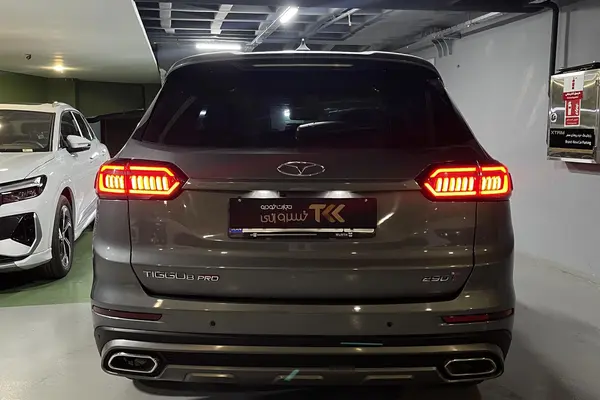 فونیکس، تیگو 8 پرو