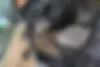رنو  مگان (مونتاژ)