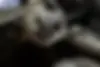 چانگان  CS 55 پلاس