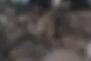 سوزوکی  جیمنی 5 در