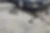 پژو  پارس