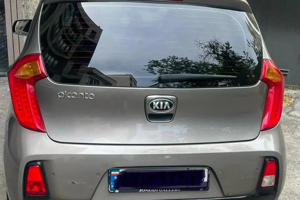 کیا  پیکانتو