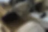 بنز  کلاس E