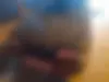 پراید، صندوق دار