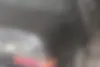 پژو، پارس