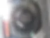 زوتی،  آریو