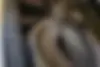 لکسوس  RX