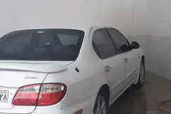نیسان، ماکسیما
