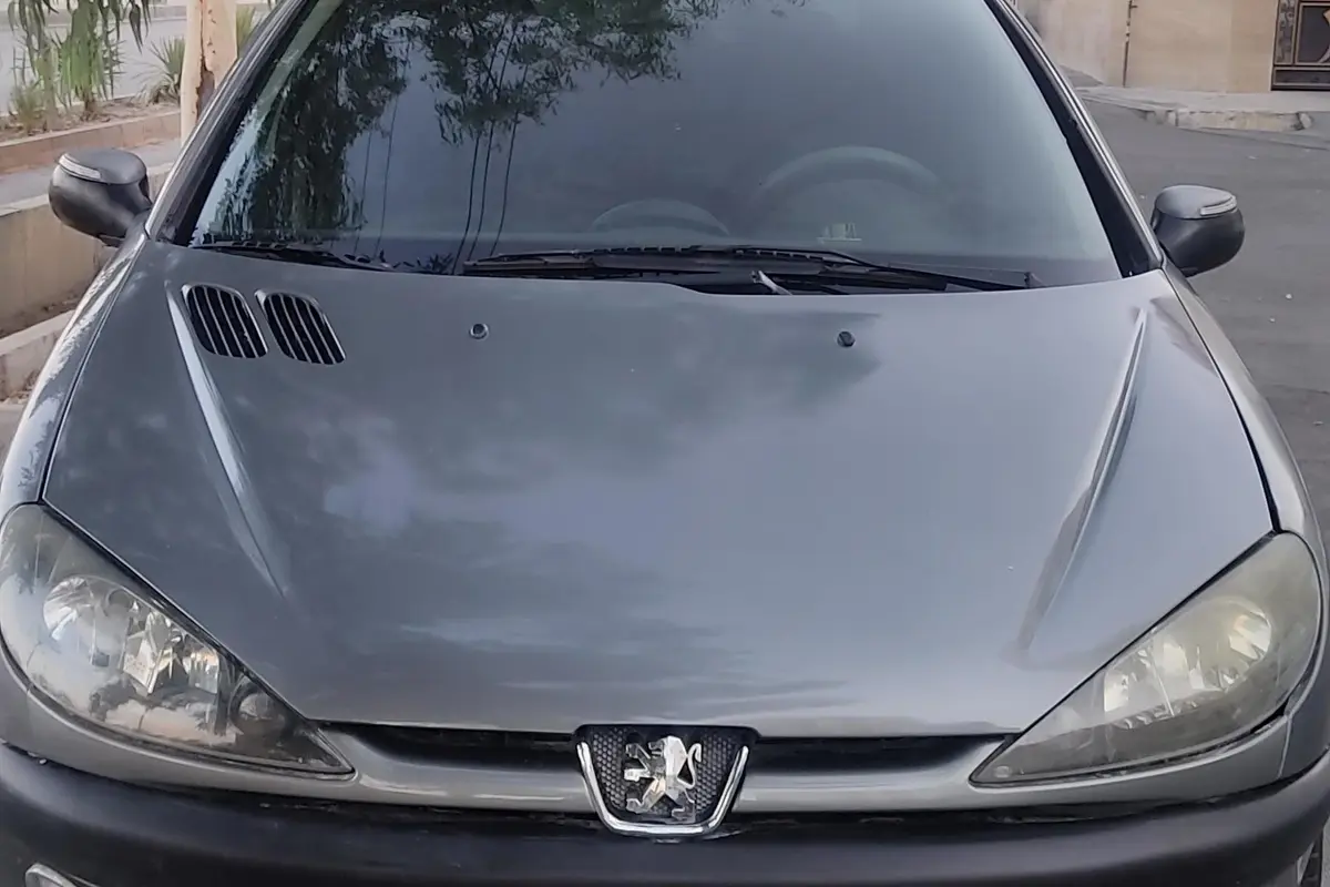 پژو،  206 SD