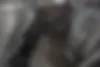 فونیکس  تیگو 7 پرو