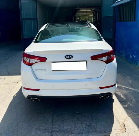 کیا، اپتیما
