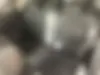 رنو،  کپچر