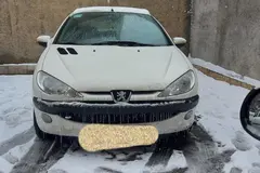پژو، 206 SD