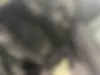 لکسوس،  GS