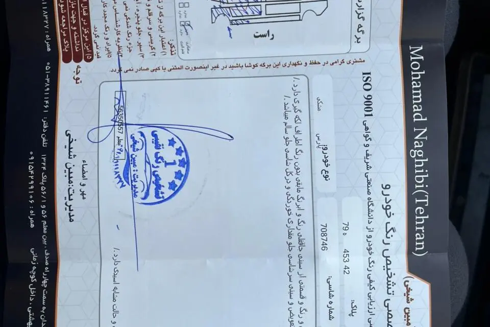 پژو،  پارس