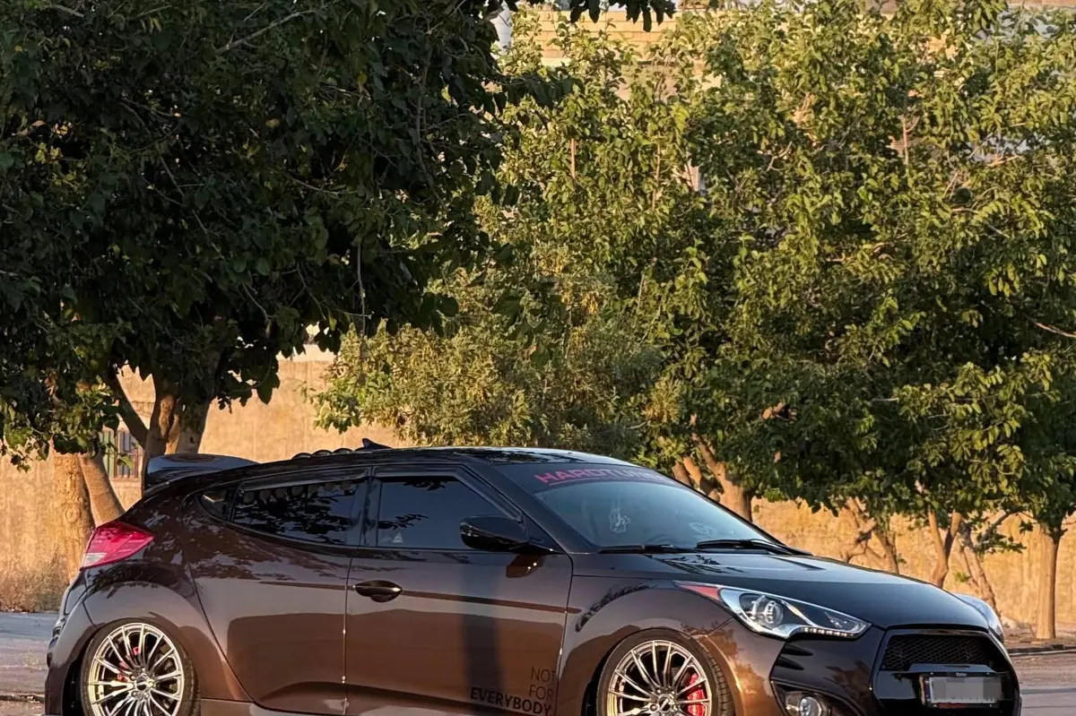 هیوندای  ولستر