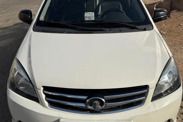 گریت وال  C30