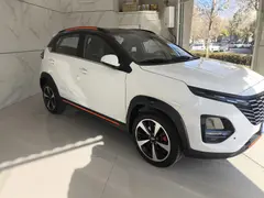 ام وی ام، X33 کراس