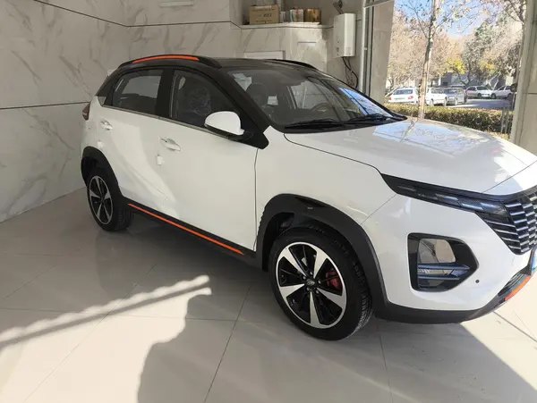 ام وی ام، X33 کراس