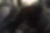فونیکس،  تیگو 7 پرو