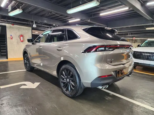 لاماری، ایما