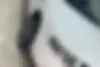 سمند،  سورن